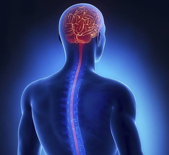 Akash Mishra Neuro Pediatric and Spinal Rehabilitation