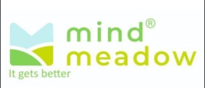 Mind Meadow Sector 44 Noida