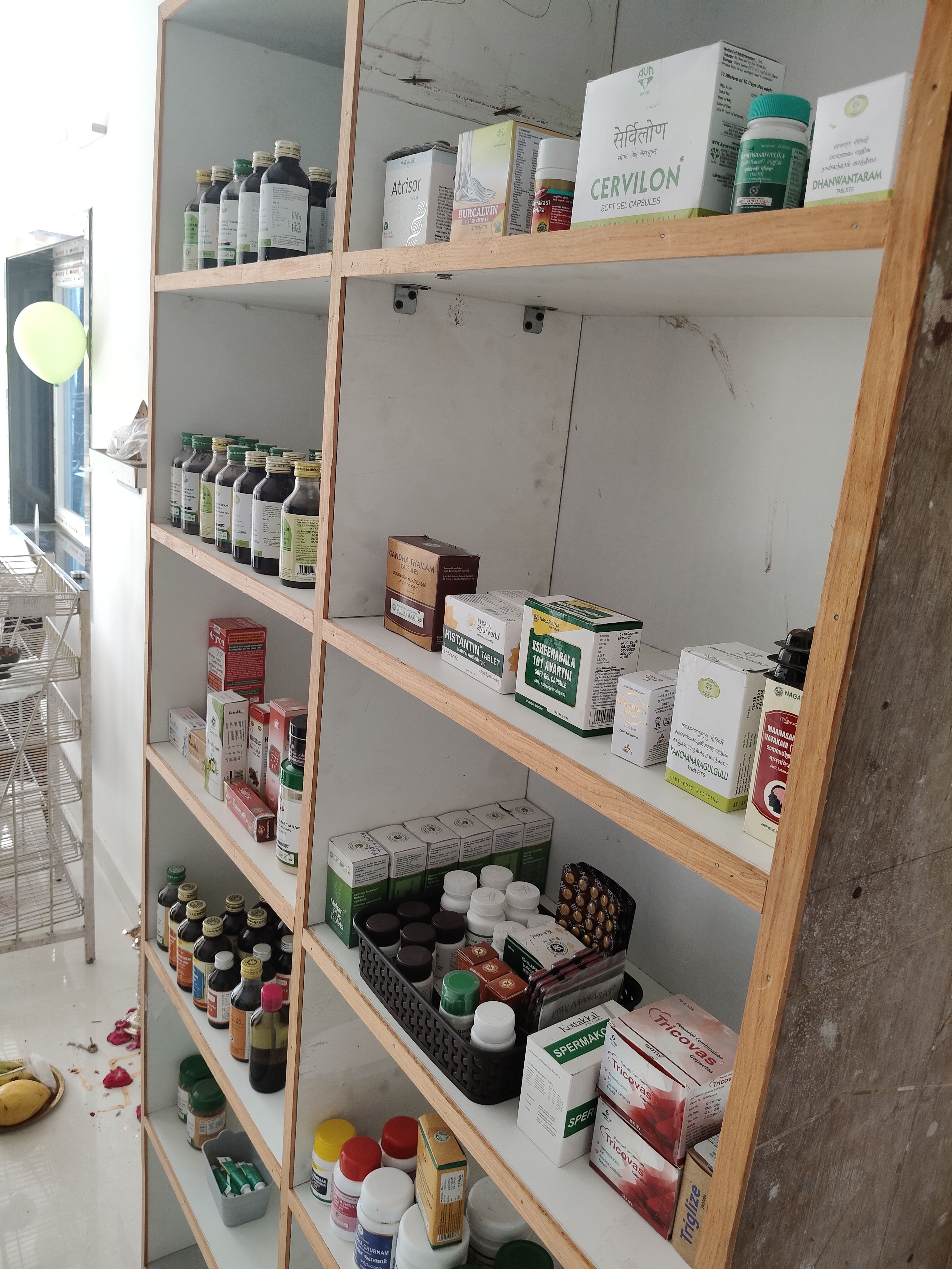 Sri Mrityunjaya Ayurveda Vaidyasalai  Nanganallur Chennai
