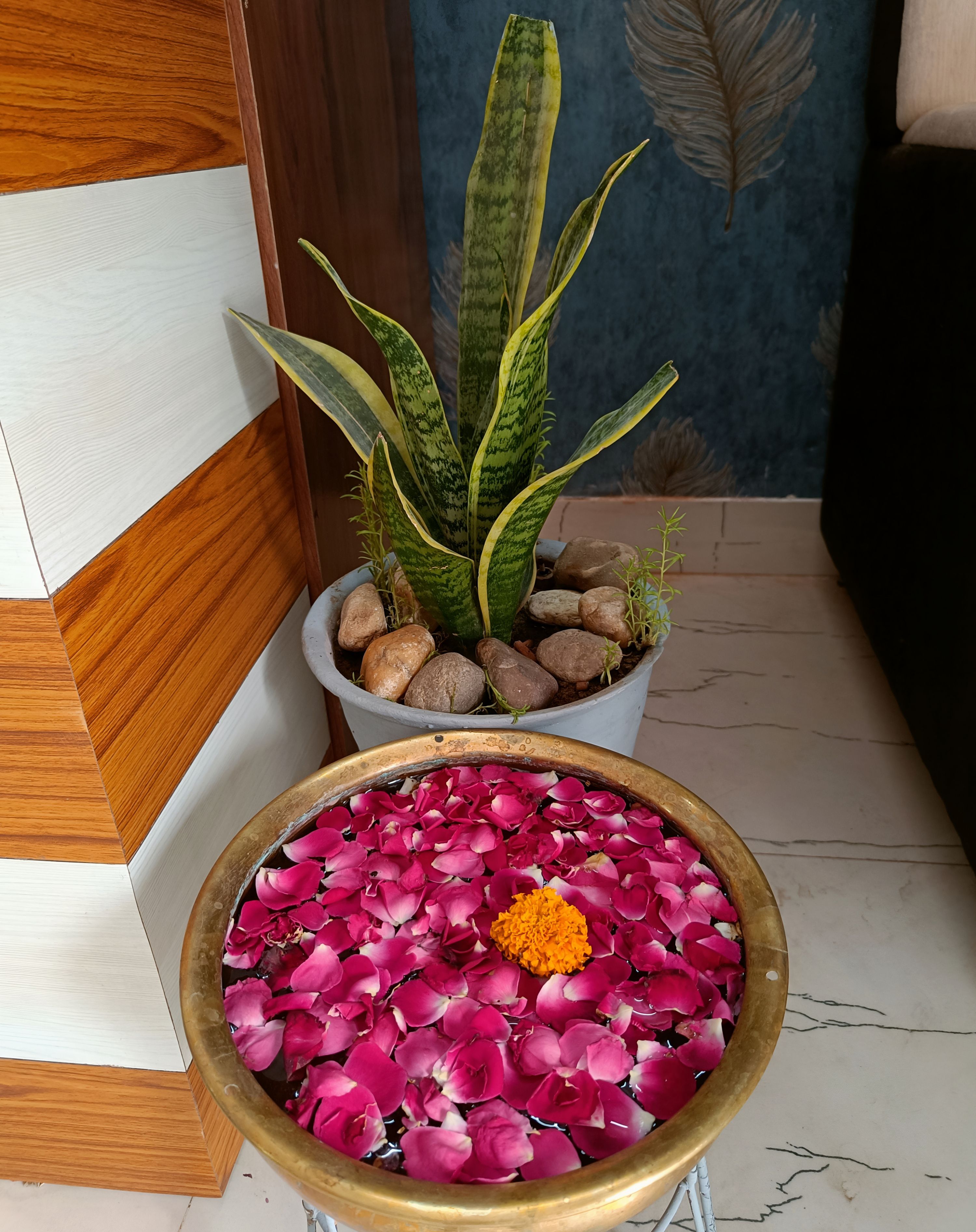 View All